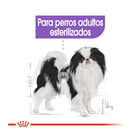 Royal Canin X-Small Sterilised ração para cães , , large image number null